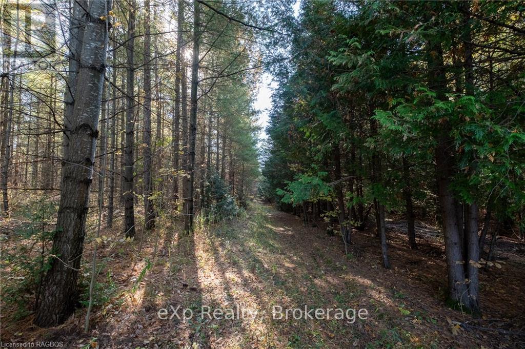 Lot 25 Concession Road 10, West Grey, Ontario  N0G 1S0 - Photo 11 - X11823142