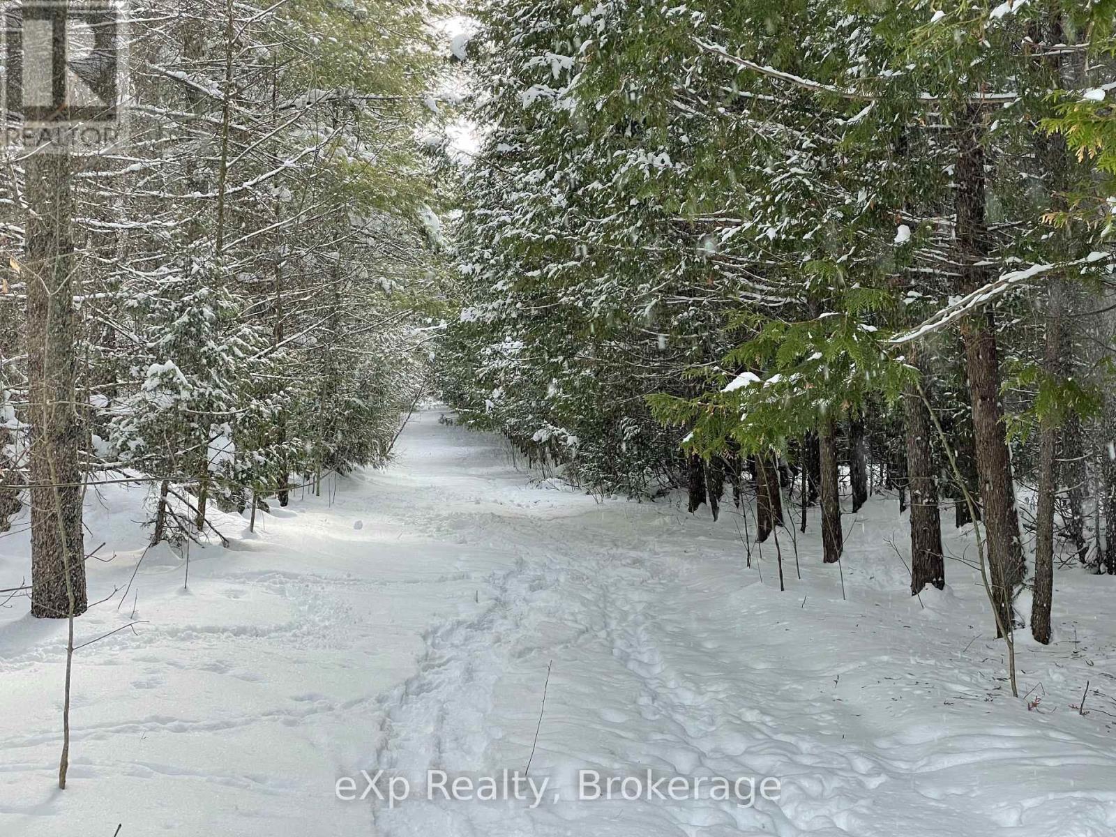 Lot 25 Concession Road 10, West Grey, Ontario  N0G 1S0 - Photo 13 - X11823142