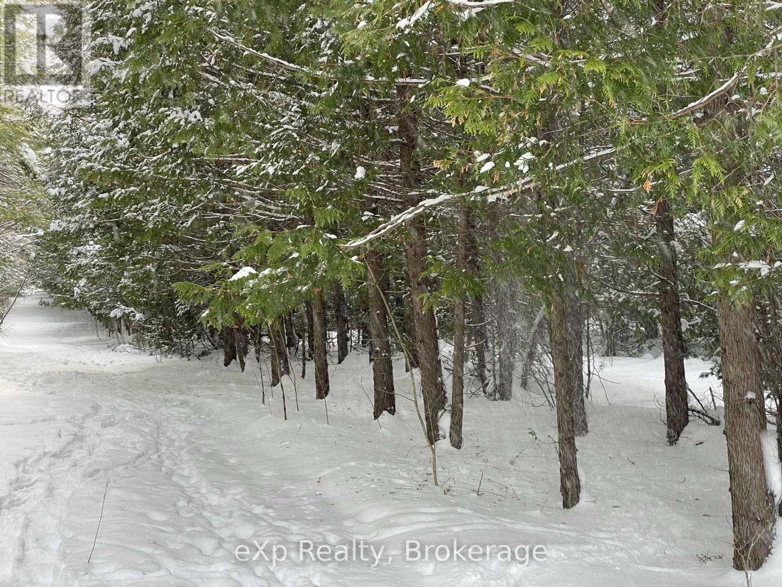 Lot 25 Concession Road 10, West Grey, Ontario  N0G 1S0 - Photo 14 - X11823142