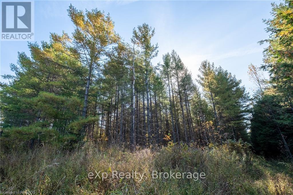 Lot 25 Concession Road 10, West Grey, Ontario  N0G 1S0 - Photo 8 - X11823142