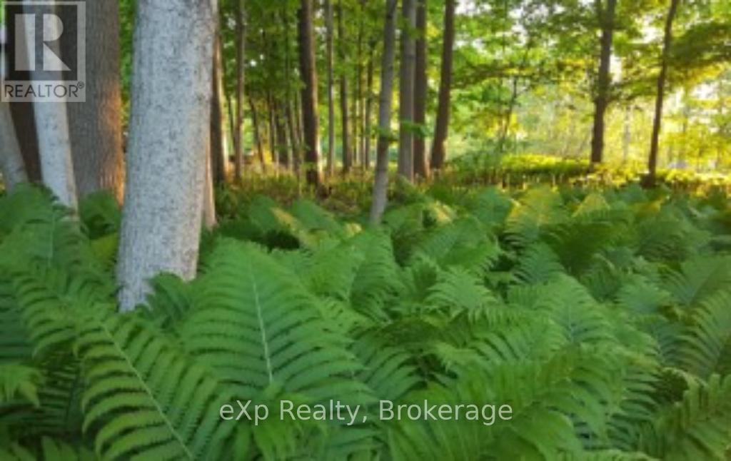 171 Ashgrove Lane, Meaford, Ontario  N0H 1B0 - Photo 36 - X11822993