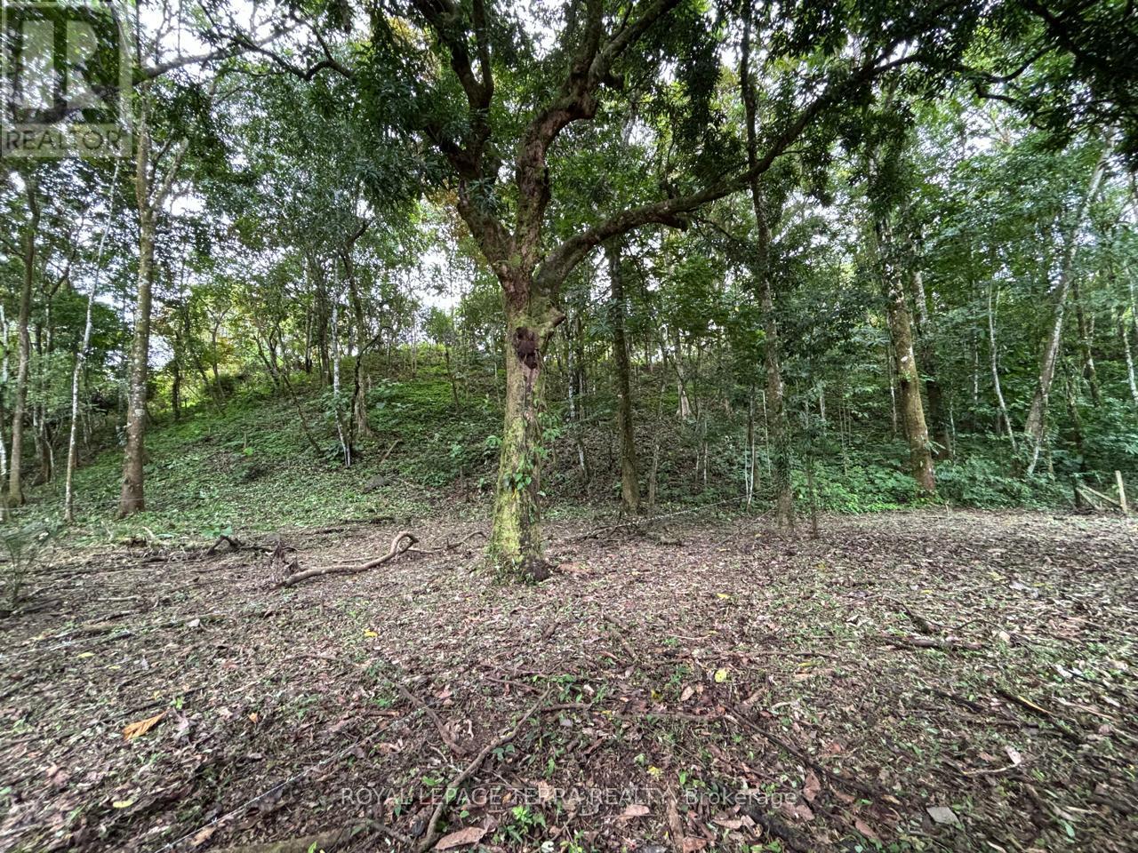 Lot 4 Avenida Principle, Costa Rica, Ontario   - Photo 3 - X11894142