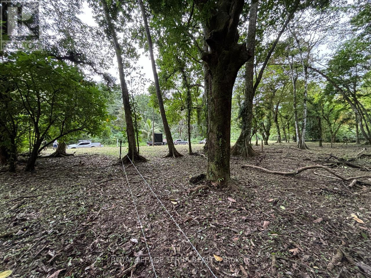 Lot 4 Avenida Principle, Costa Rica, Ontario   - Photo 4 - X11894142