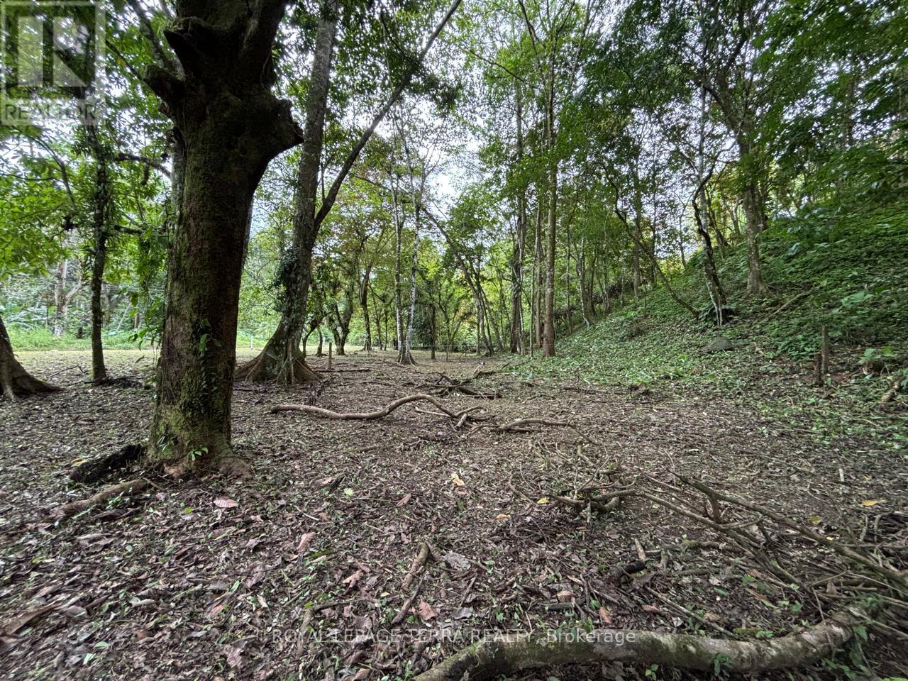 Lot 4 Avenida Principle, Costa Rica, Ontario   - Photo 5 - X11894142