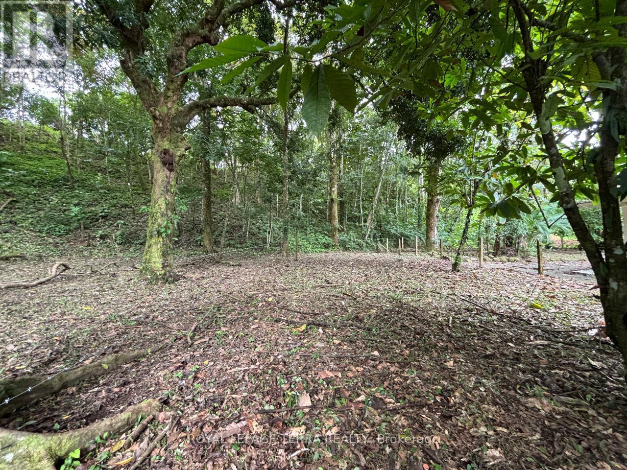 Lot 4 Avenida Principle, Costa Rica, Ontario   - Photo 7 - X11894142