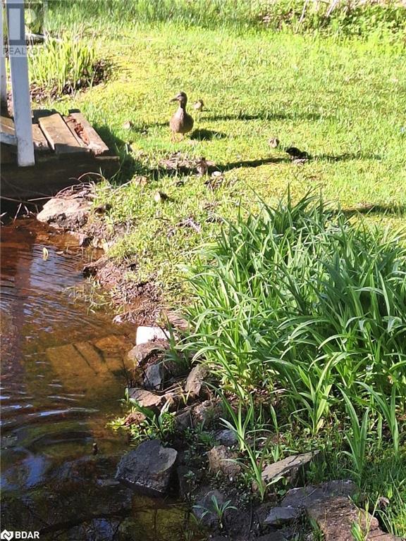 1016 Manson Lane, Severn Bridge, Ontario  P0E 1N0 - Photo 17 - 40682151