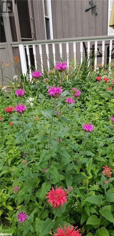 1016 Manson Lane, Severn Bridge, Ontario  P0E 1N0 - Photo 18 - 40682151