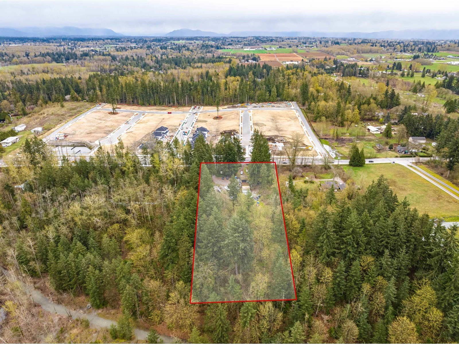 3381 208 Street, Langley, British Columbia  V2Z 2C5 - Photo 5 - R2950647