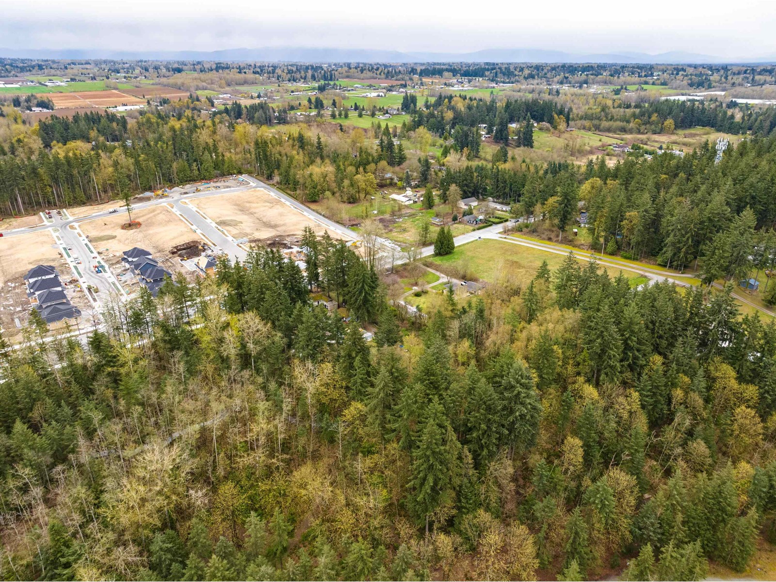 3381 208 Street, Langley, British Columbia  V2Z 2C5 - Photo 6 - R2950647