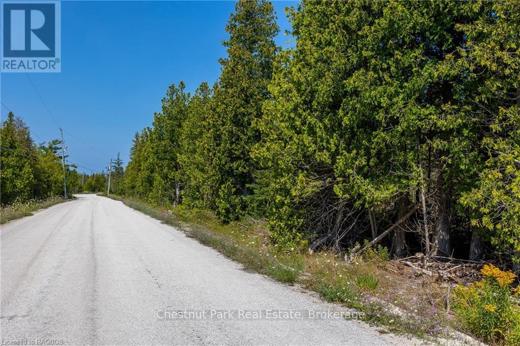 0 Hatt Street, Northern Bruce Peninsula, Ontario  N0H 2R0 - Photo 2 - X10848933