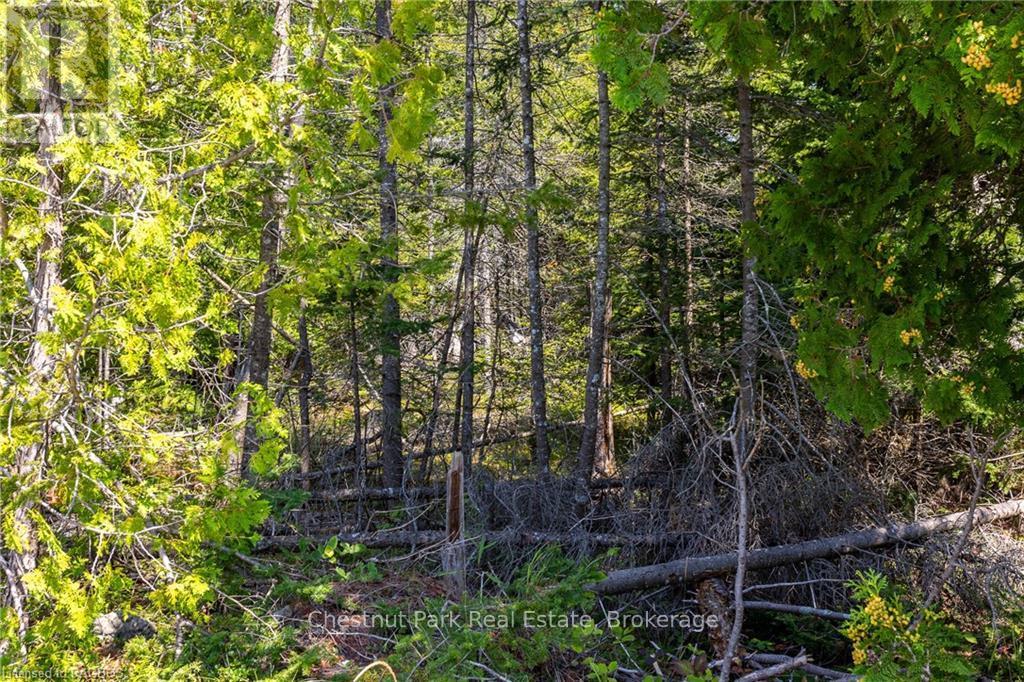 0 Hatt Street, Northern Bruce Peninsula, Ontario  N0H 2R0 - Photo 4 - X10848933