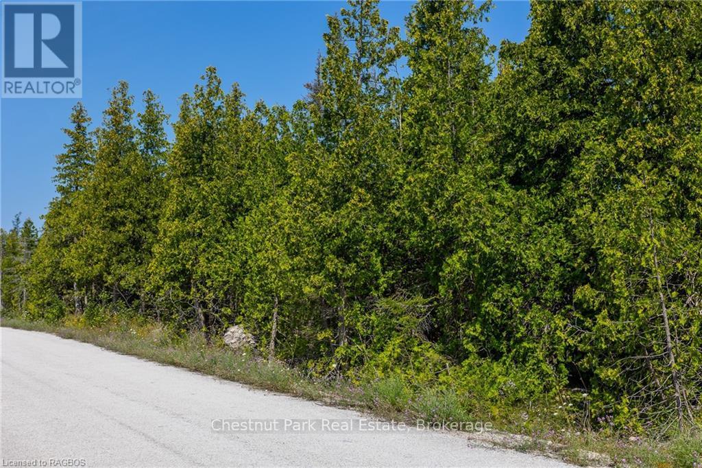 0 Hatt Street, Northern Bruce Peninsula, Ontario  N0H 2R0 - Photo 6 - X10848933