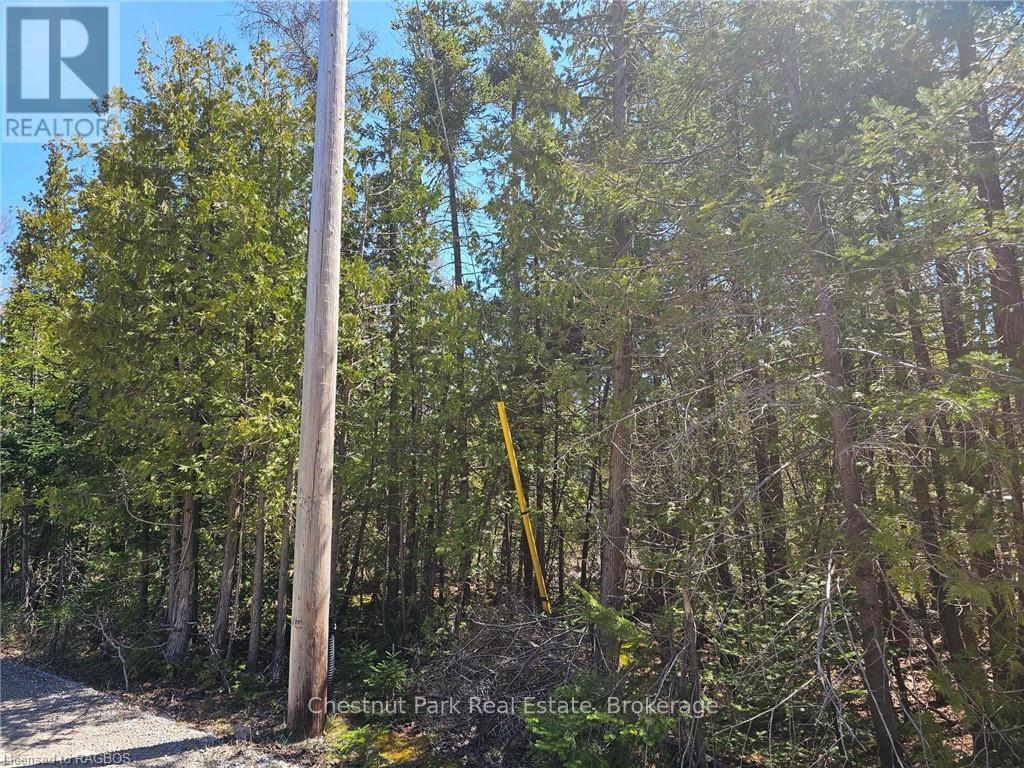 Lot 2 Spry Road, Northern Bruce Peninsula, Ontario  N0H 1W0 - Photo 7 - X10849890