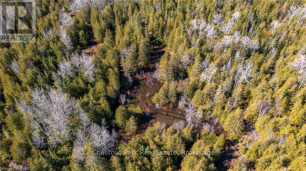 4693 Highway 6, Northern Bruce Peninsula, Ontario  N0H 1Z0 - Photo 15 - X10850730