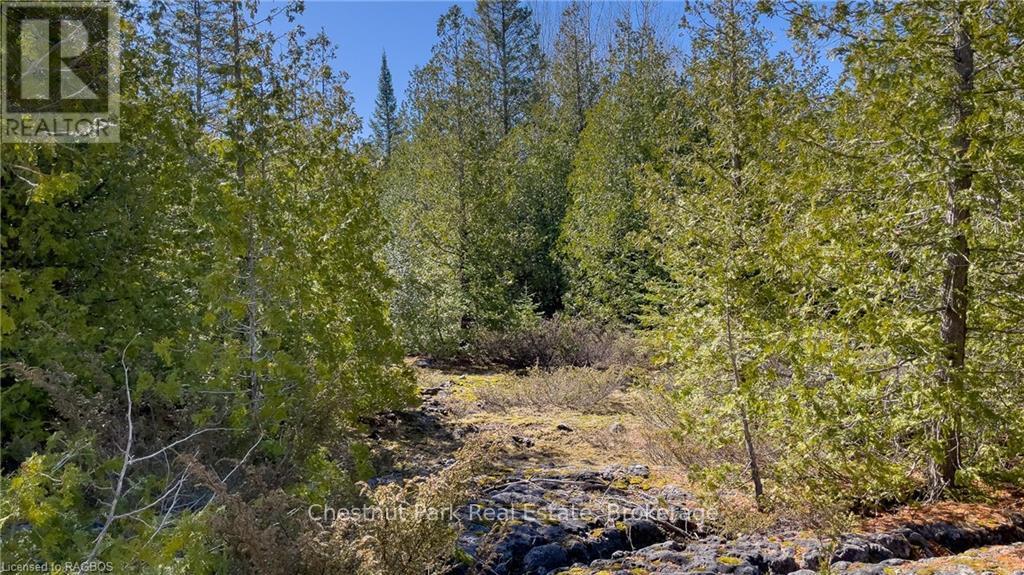 4693 Highway 6, Northern Bruce Peninsula, Ontario  N0H 1Z0 - Photo 26 - X10850730