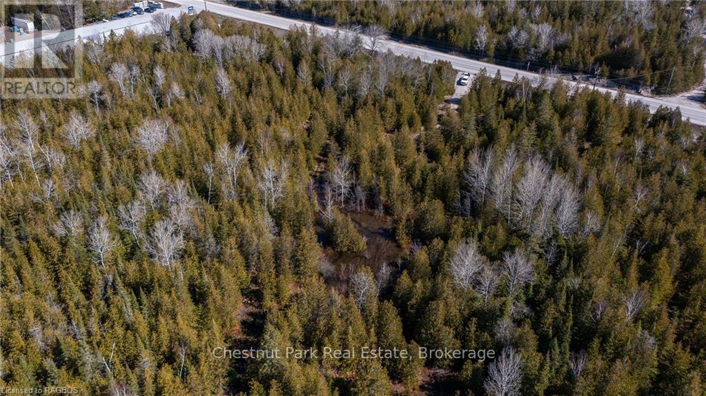4693 Highway 6, Northern Bruce Peninsula, Ontario  N0H 1Z0 - Photo 9 - X10850730