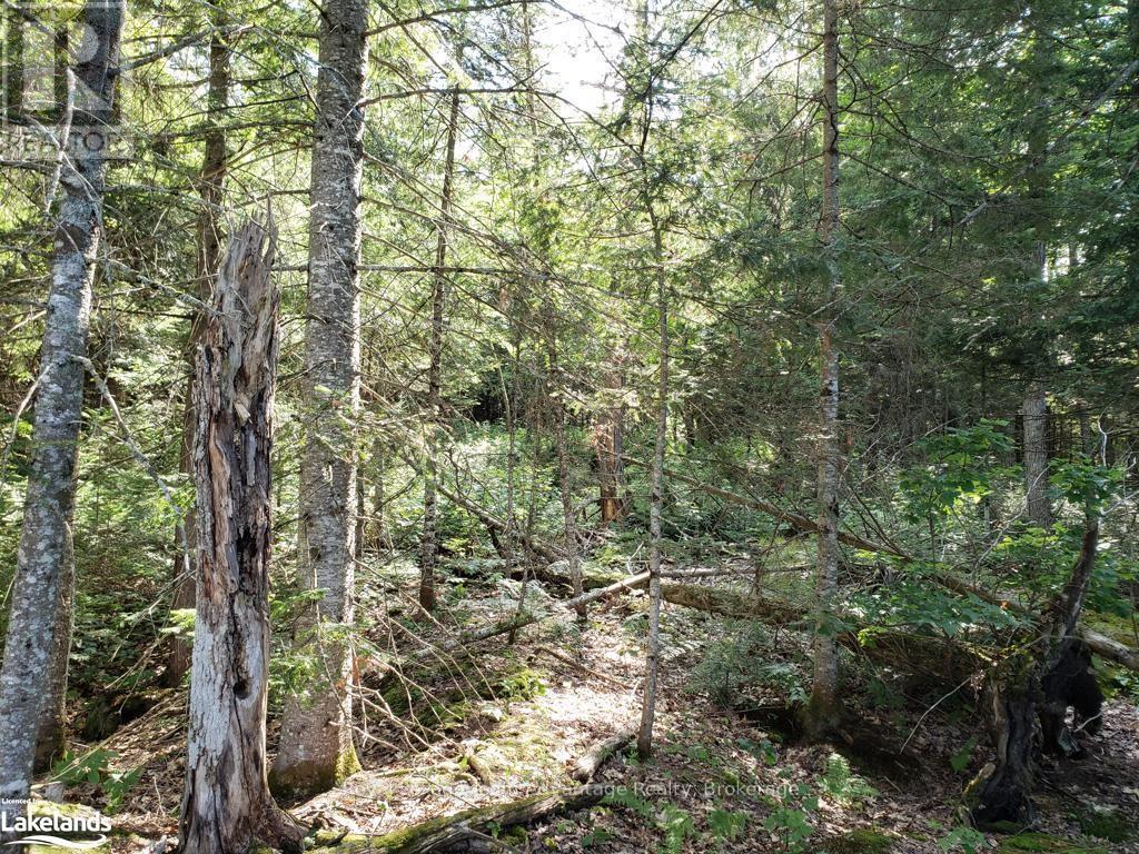 0 Unopened Road Allowance, Mckellar, Ontario  P2A 2W7 - Photo 12 - X10907914