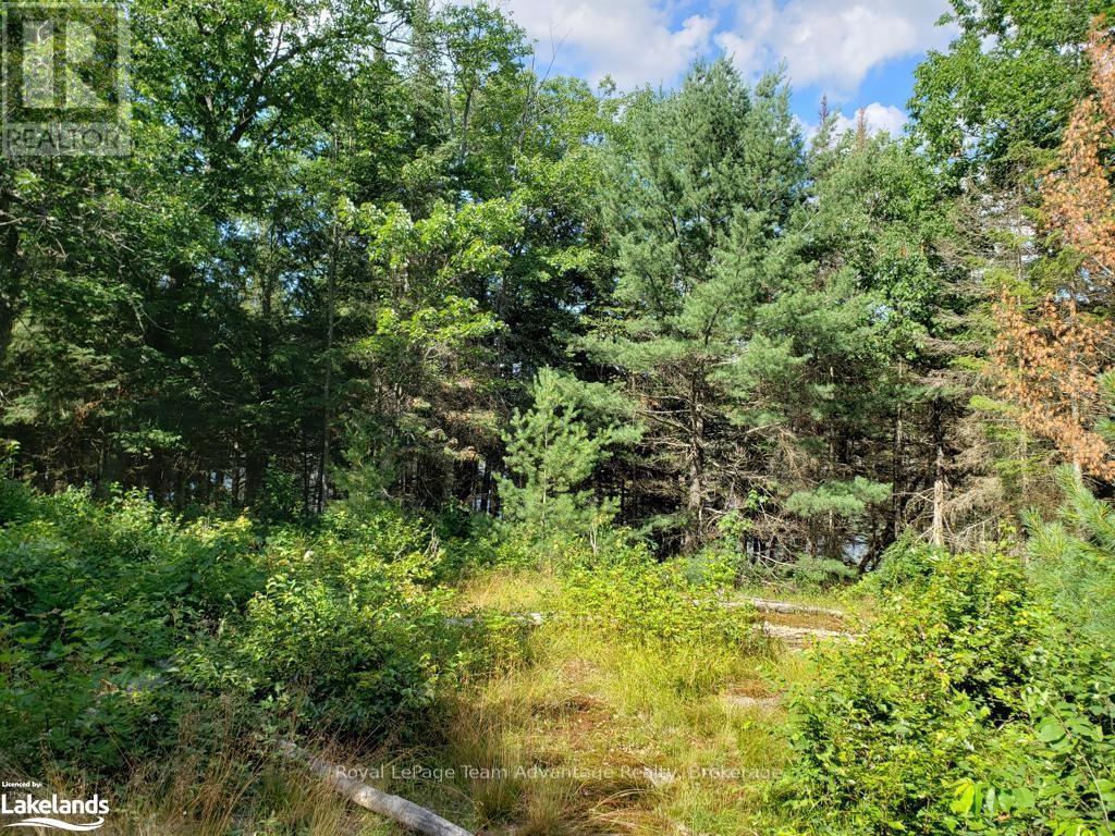 0 Unopened Road Allowance, Mckellar, Ontario  P2A 2W7 - Photo 2 - X10907914