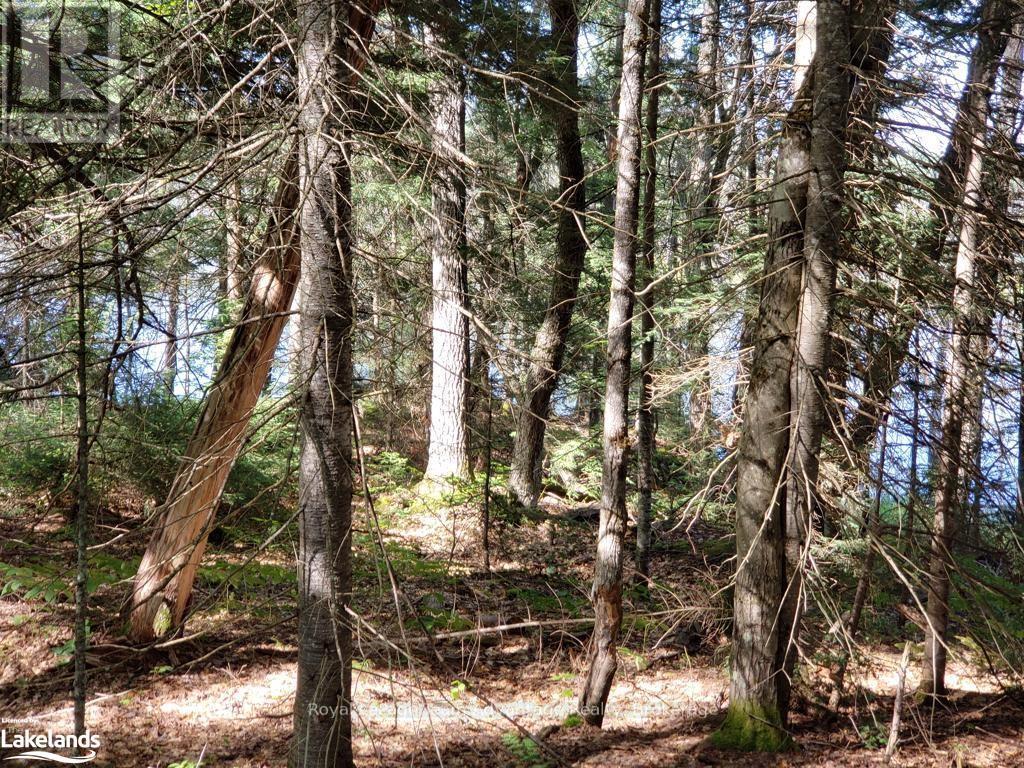 0 Unopened Road Allowance, Mckellar, Ontario  P2A 2W7 - Photo 4 - X10907914