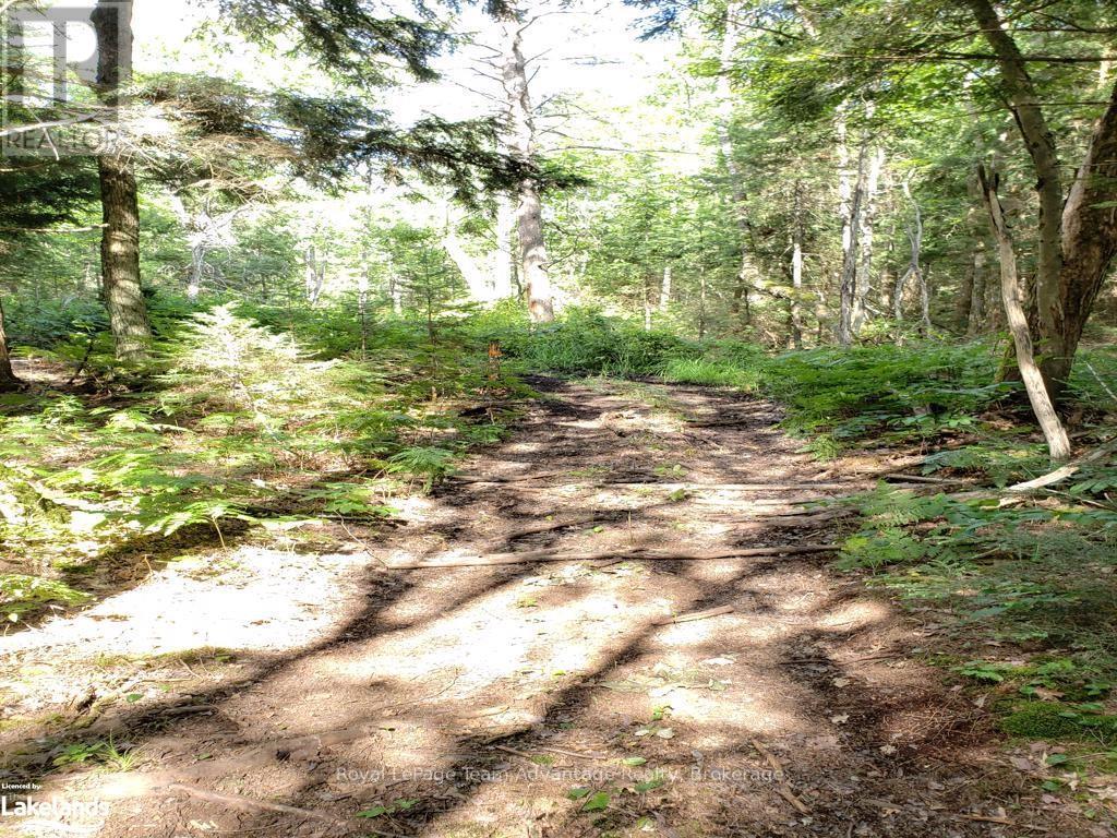 0 Unopened Road Allowance, Mckellar, Ontario  P2A 2W7 - Photo 7 - X10907914
