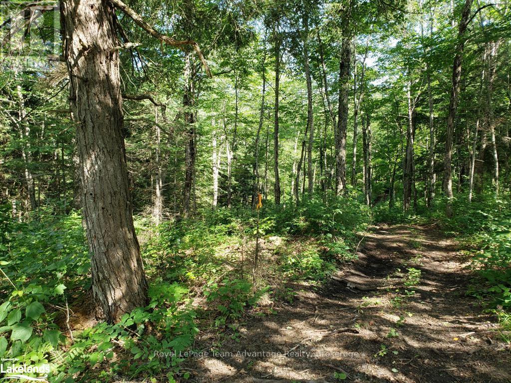 0 Unopened Road Allowance, Mckellar, Ontario  P2A 2W7 - Photo 9 - X10907914