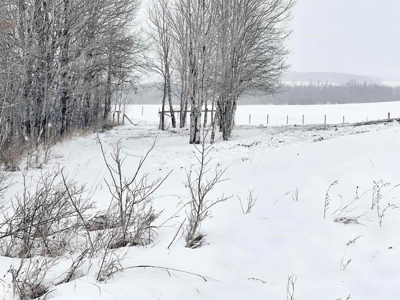 58013 Rge Rd 81, Rural Lac Ste. Anne County, Alberta  T0E 1N0 - Photo 9 - E4416203