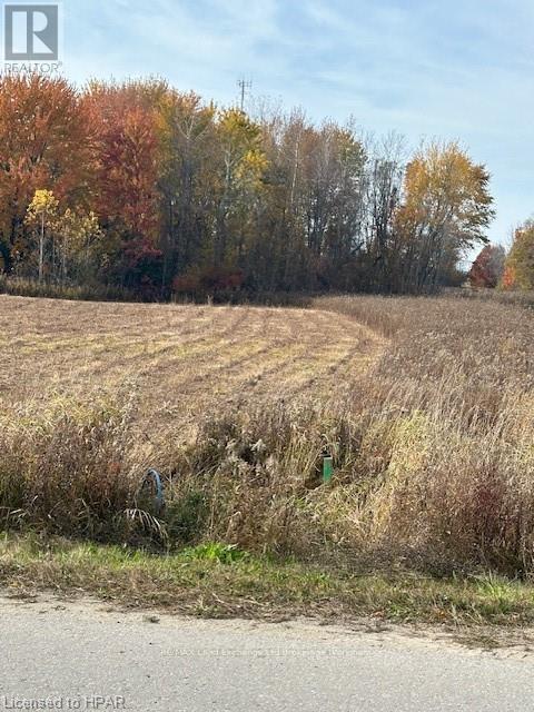 243 Arthur Street, Morris-Turnberry, Ontario  N0G 2W0 - Photo 3 - X10780686