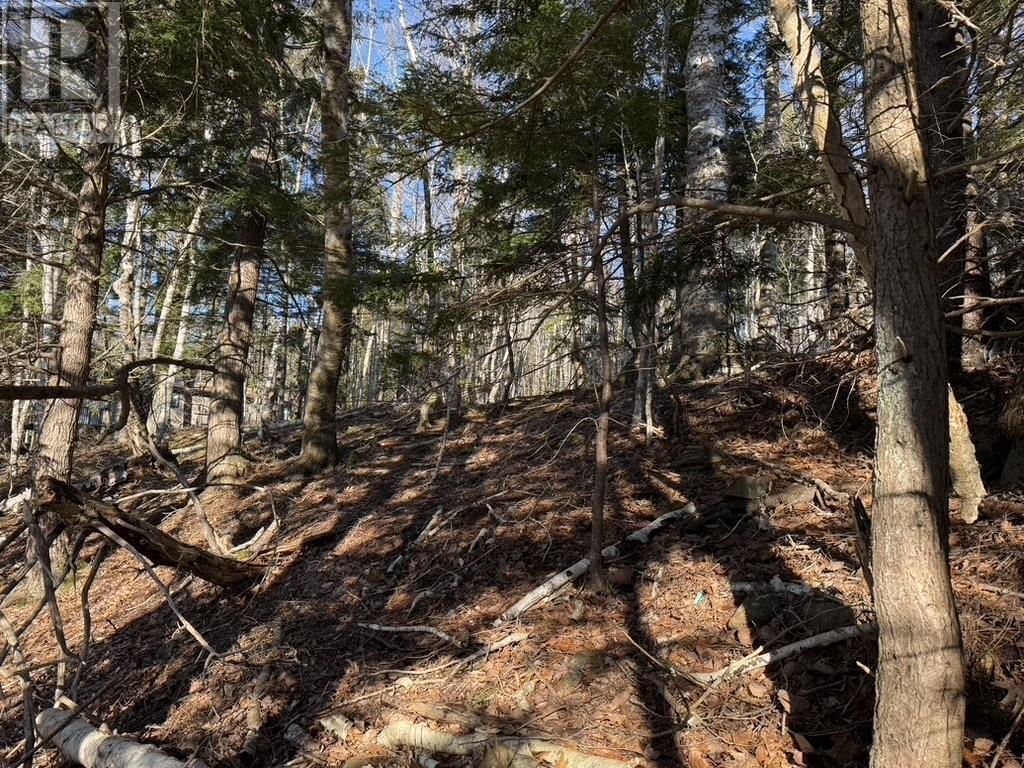 Lot Conquerall Mills Road, Hebbville, Nova Scotia  B4V 6A3 - Photo 13 - 202428370