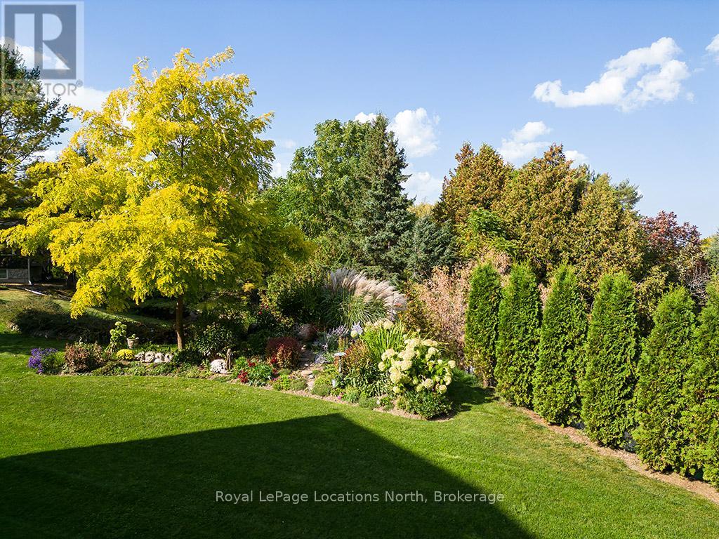 134 Louisa Street E, Blue Mountains, Ontario  N0H 2P0 - Photo 11 - X11890652