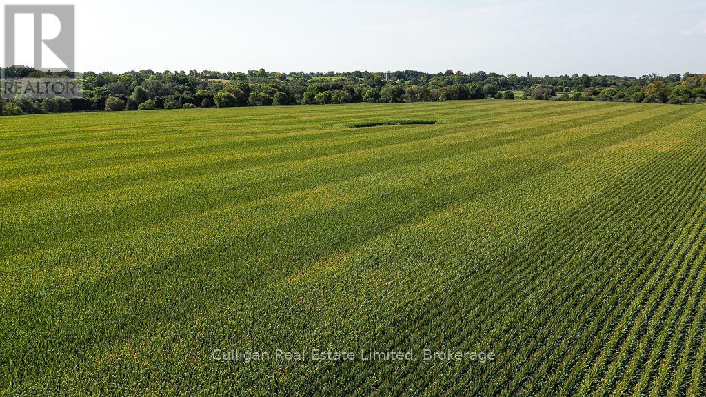 603448 Road 60 Road, Zorra, Ontario  N5C 3J7 - Photo 4 - X11894765