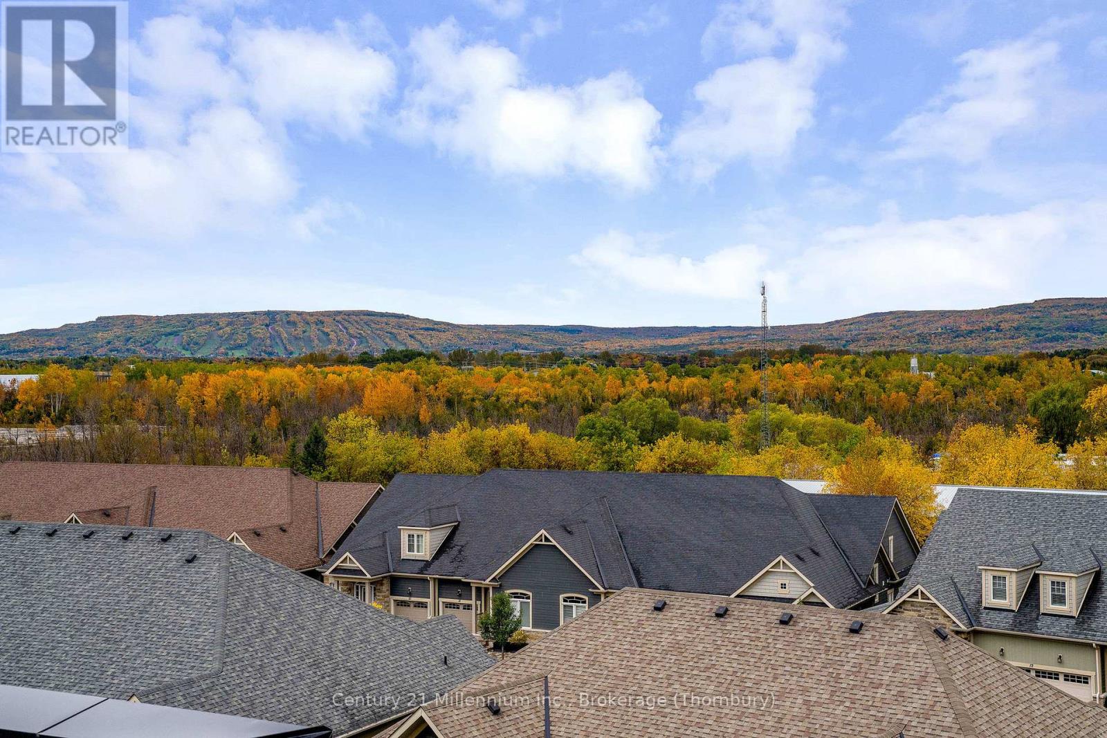 Lorem Ipsum Dolor Sit, Collingwood, Ontario  L9Y  - Photo 27 - DEMO27554359