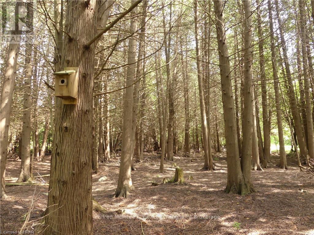 36823 Belfast Road Road, Ashfield-Colborne-Wawanosh, Ontario  N0G 2H0 - Photo 17 - X10781209