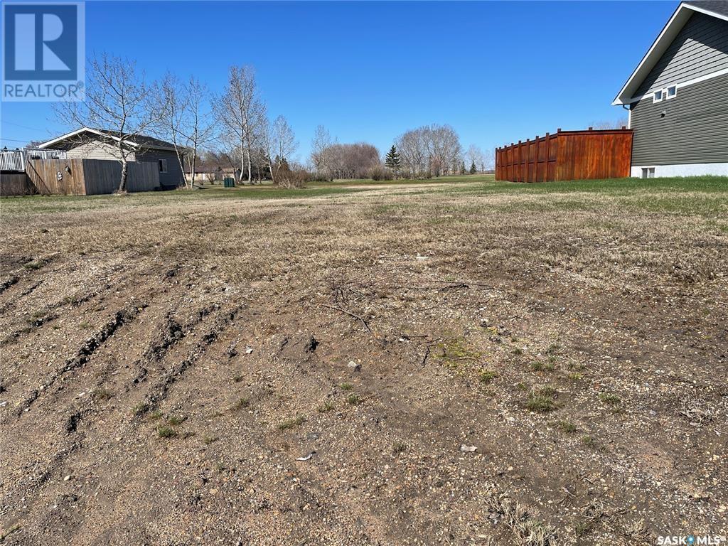 133 Cameron Crescent, Watson, Saskatchewan  S0K 4V0 - Photo 1 - SK990735