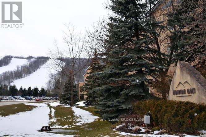 204 - 169 Jozo Weider Boulevard, Blue Mountains, Ontario  L9Y 3Z2 - Photo 39 - X11895076