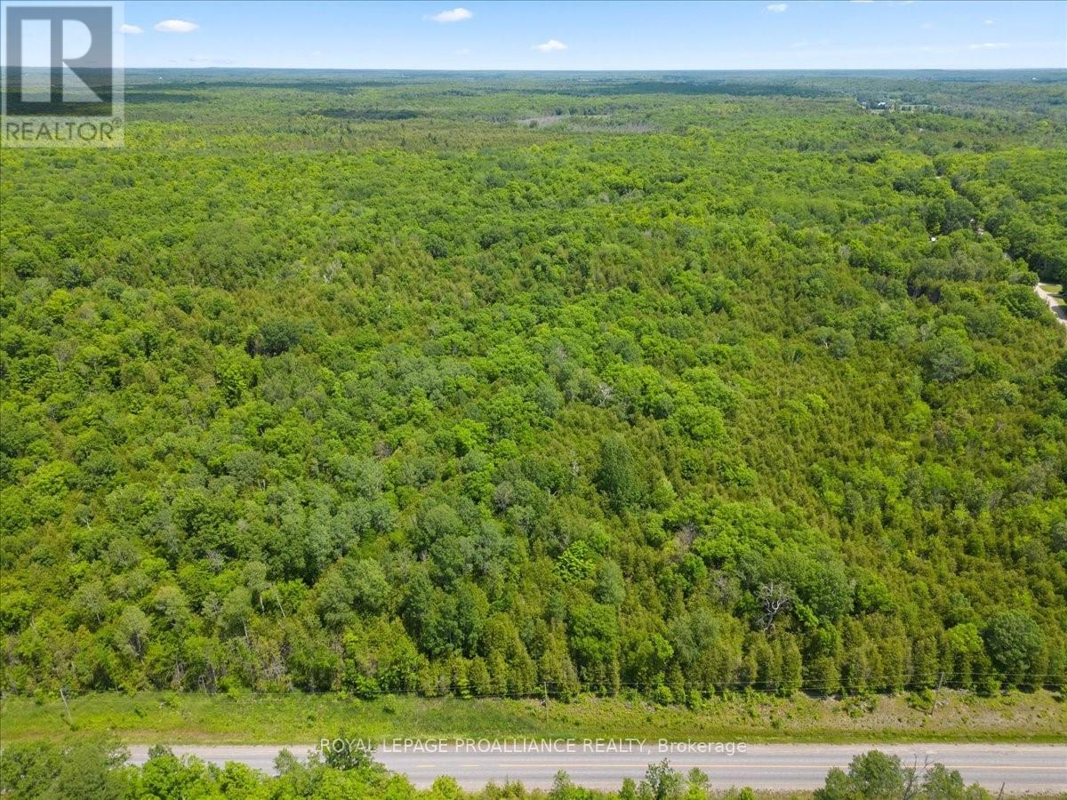 0 Marlbank Rd, Tweed, Ontario  K0K 3J0 - Photo 4 - X11895156