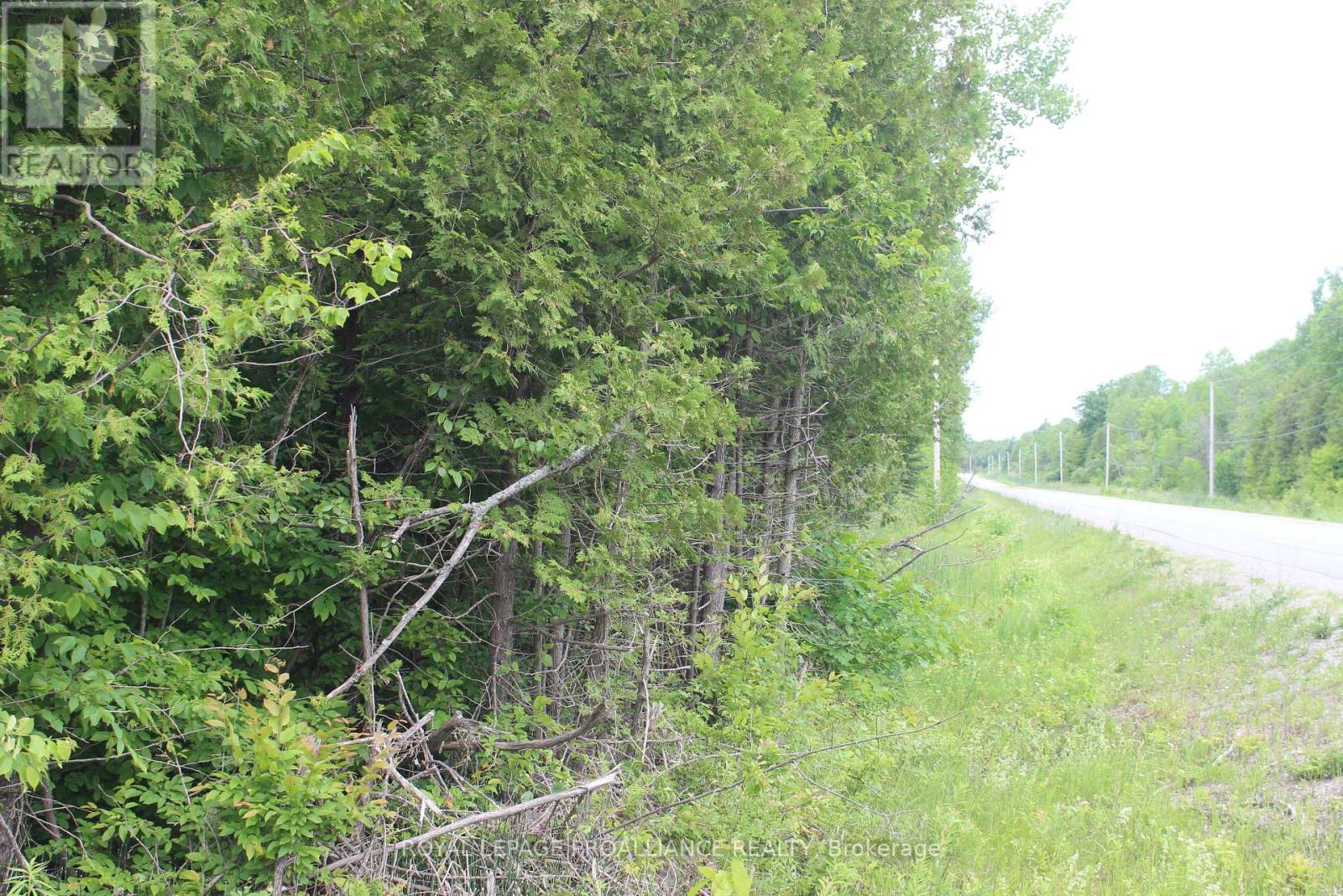 0 Marlbank Rd, Tweed, Ontario  K0K 3J0 - Photo 8 - X11895156