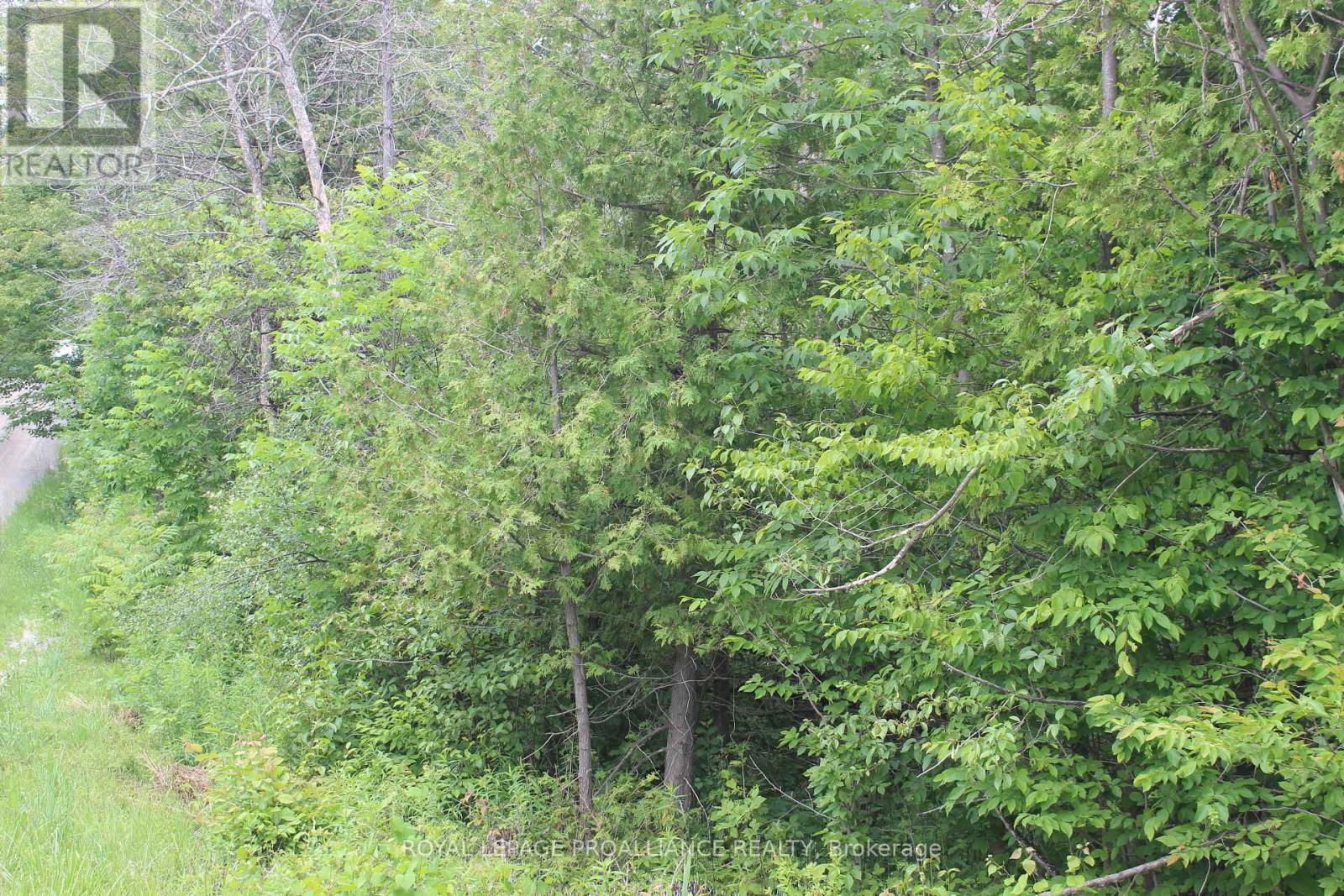 0 Marlbank Rd, Tweed, Ontario  K0K 3J0 - Photo 9 - X11895156