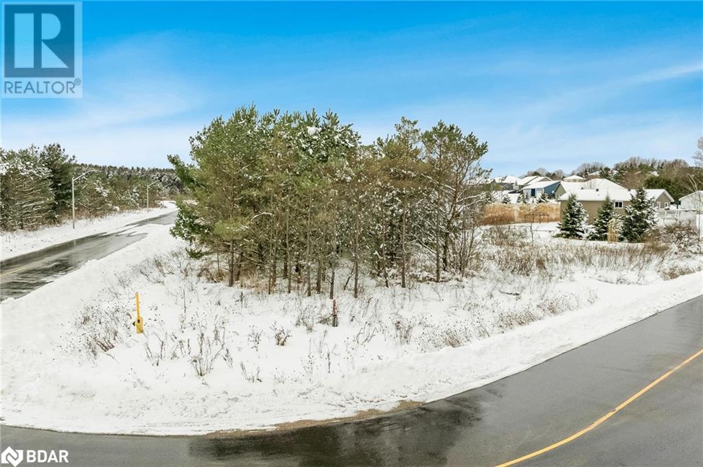 Lot 44 Rue Eric, Tiny, Ontario  L9M 0H1 - Photo 1 - 40499312