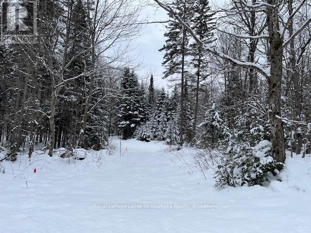 0 WHITNEY ROAD, Perry, Ontario