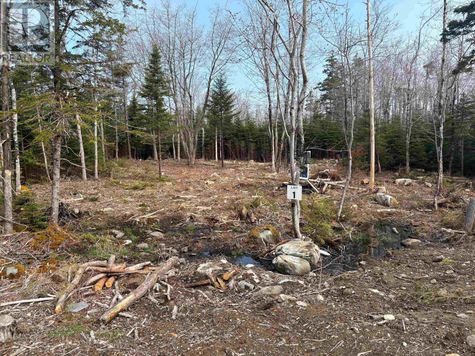 Lot 1 Larry Seldon Lane, western head, Nova Scotia