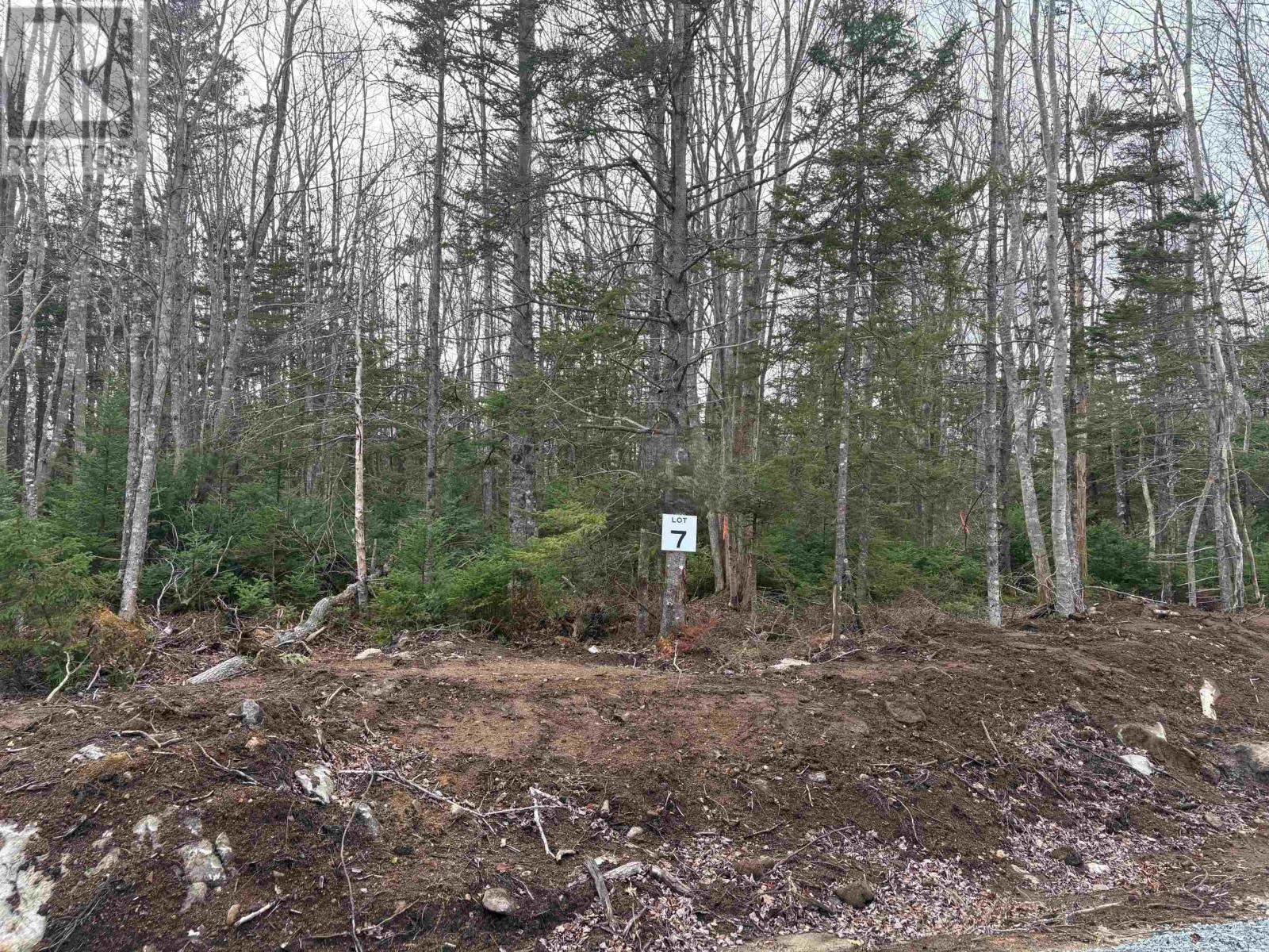 Lot 7 Larry Seldon Lane, Western Head, Nova Scotia  B0T 1K0 - Photo 1 - 202427652