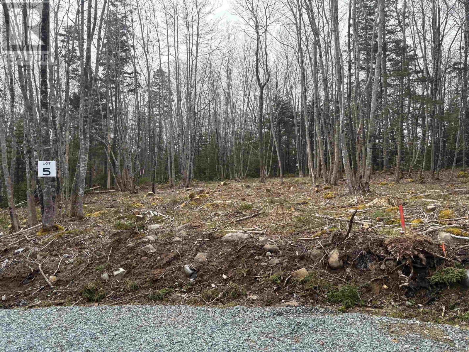 Lot 5 Larry Seldon Lane, western head, Nova Scotia