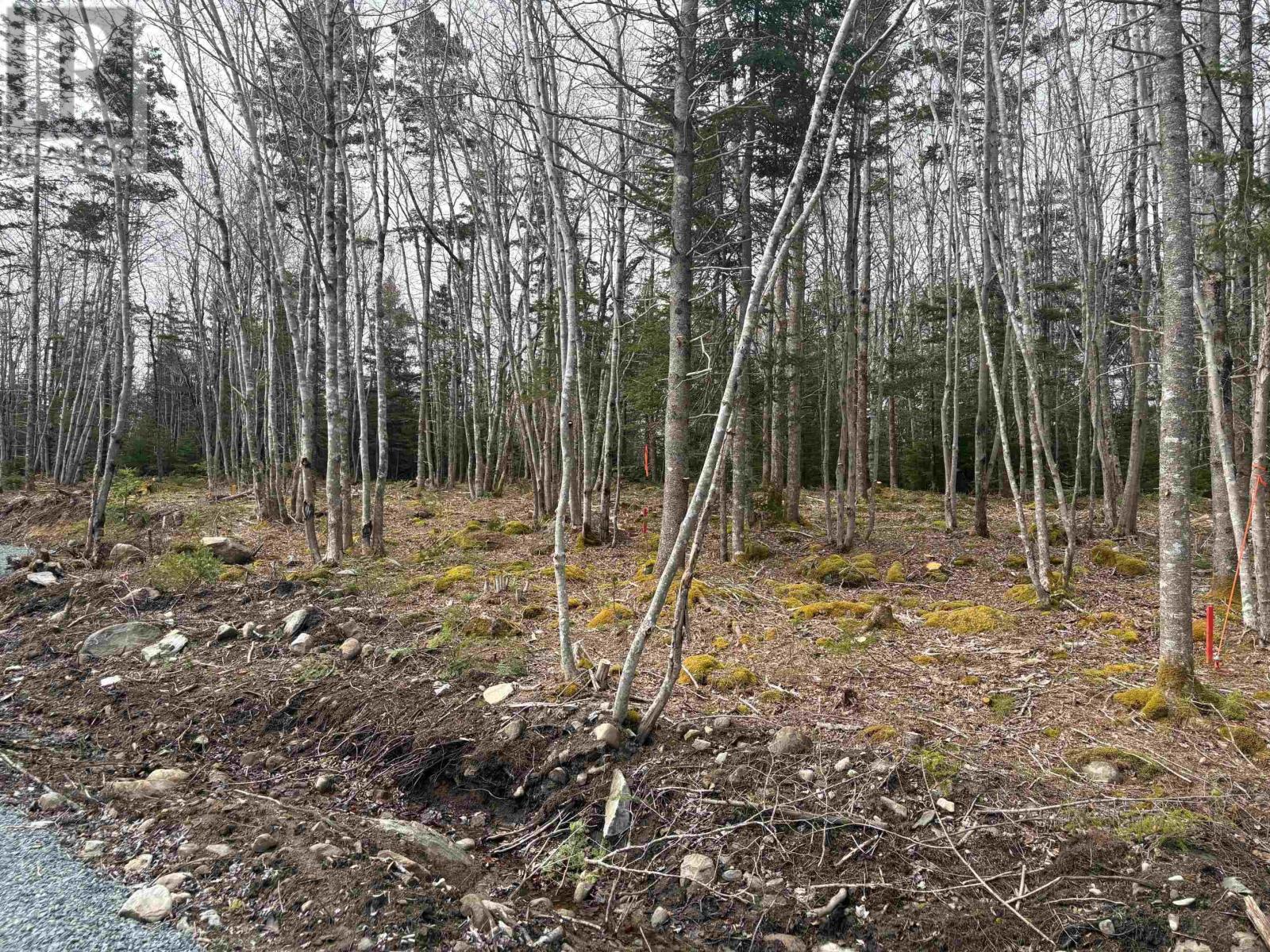 Lot 5 Larry Seldon Lane, Western Head, Nova Scotia  B0T 1K0 - Photo 2 - 202427653