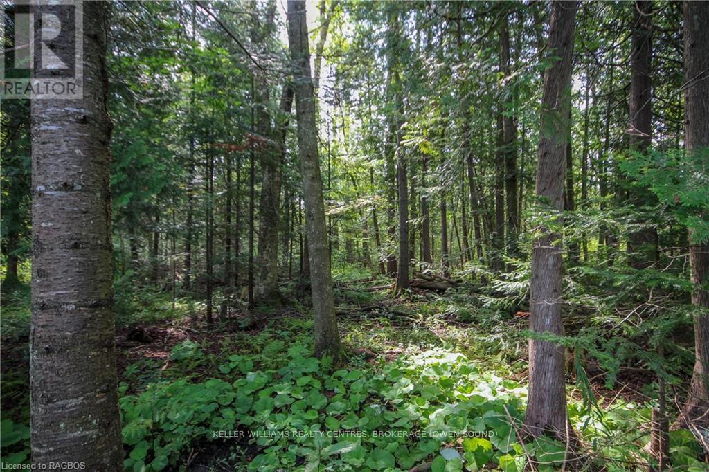 173680 Mulock Road, West Grey, Ontario  N4N 3B9 - Photo 38 - X10847870