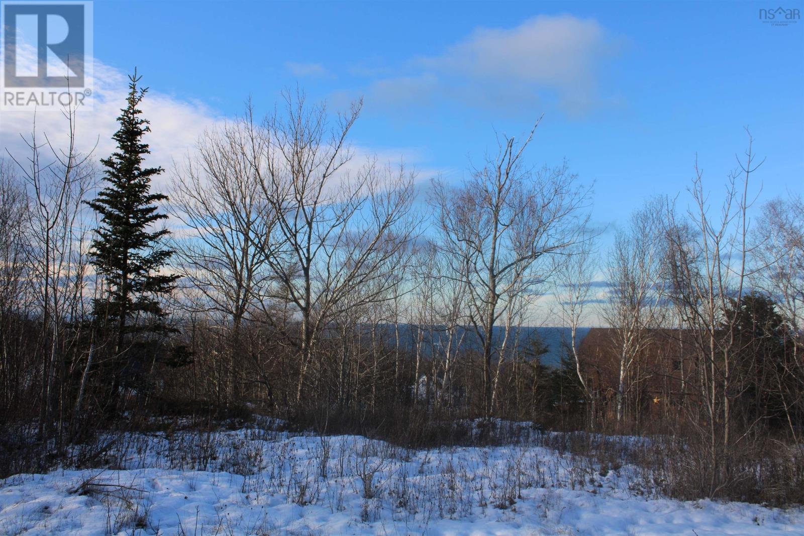 Lot Parker Mountain Road, Parkers Cove, Nova Scotia  B0S 1A0 - Photo 1 - 202428371