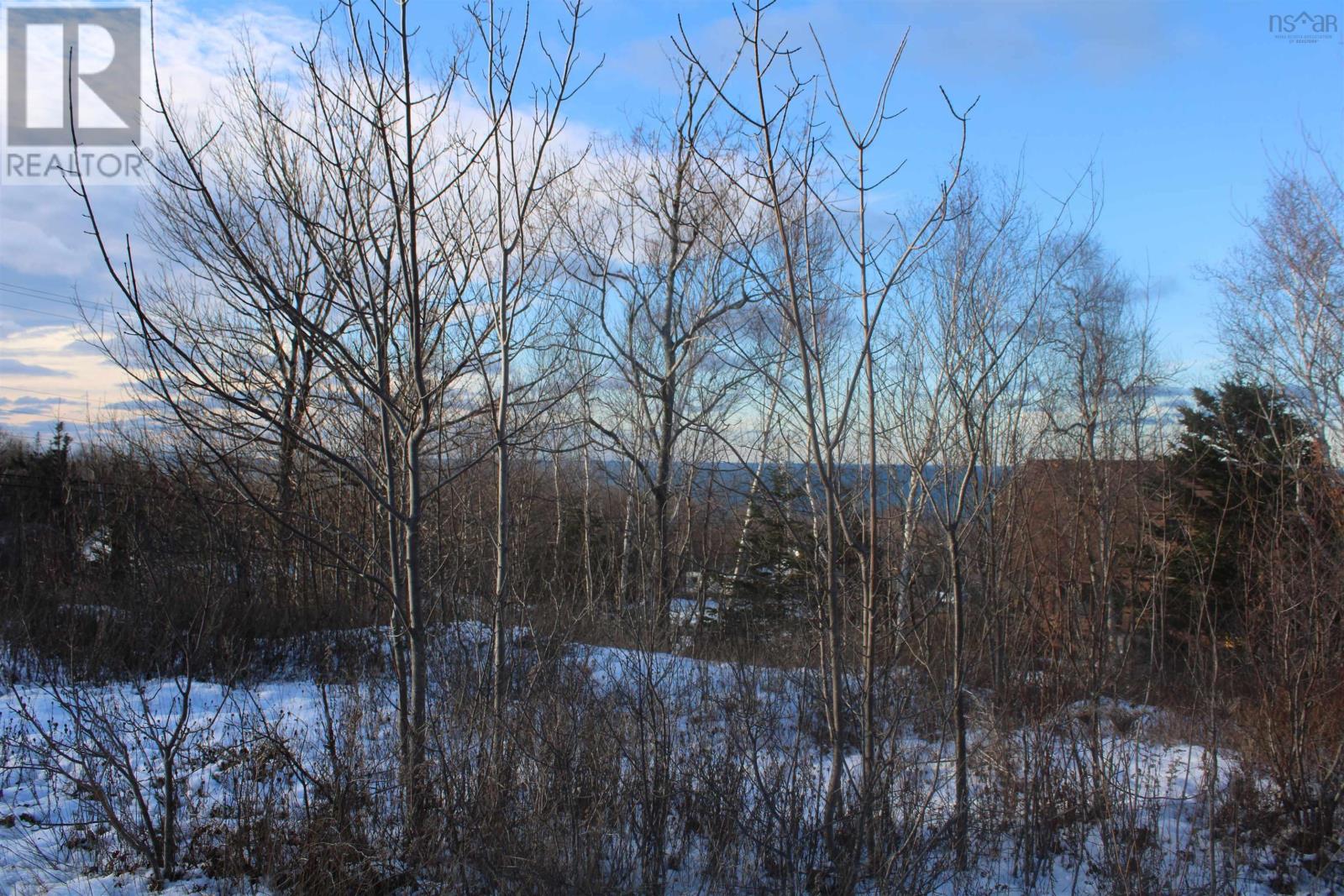 Lot Parker Mountain Road, Parkers Cove, Nova Scotia  B0S 1A0 - Photo 4 - 202428371