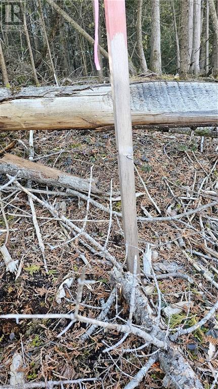 3 Donald Road, Northern Bruce Peninsula, Ontario  N0H 1Z0 - Photo 10 - X10848811