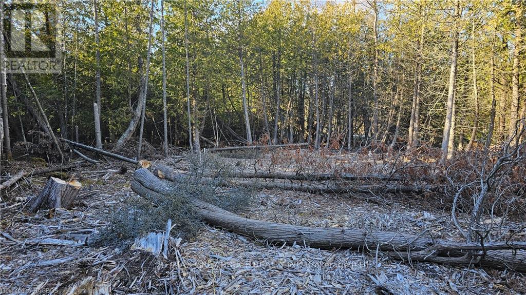 3 Donald Road, Northern Bruce Peninsula, Ontario  N0H 1Z0 - Photo 12 - X10848811