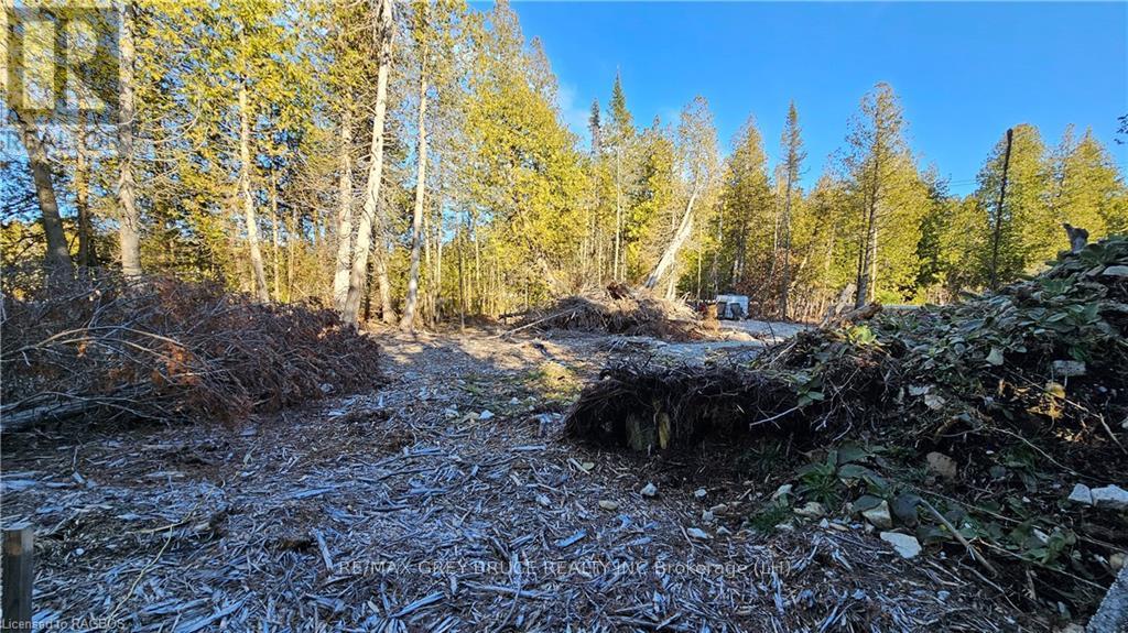 3 Donald Road, Northern Bruce Peninsula, Ontario  N0H 1Z0 - Photo 13 - X10848811