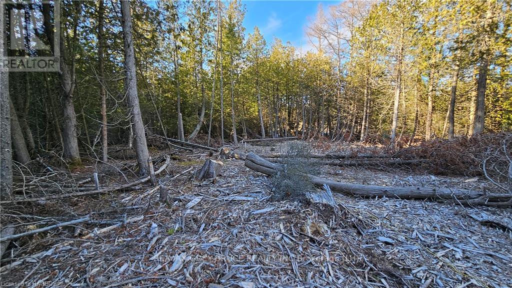 3 Donald Road, Northern Bruce Peninsula, Ontario  N0H 1Z0 - Photo 2 - X10848811